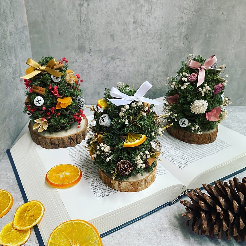 【圣诞礼物】超简单圣诞树材料包礼盒1.0版|手残都会|交换礼物 - 植栽 - 植物．花 绿色