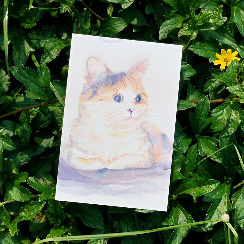 明信片 卡片 水彩  猫 可爱 动物 贺卡 - 卡片/明信片 - 纸 紫色