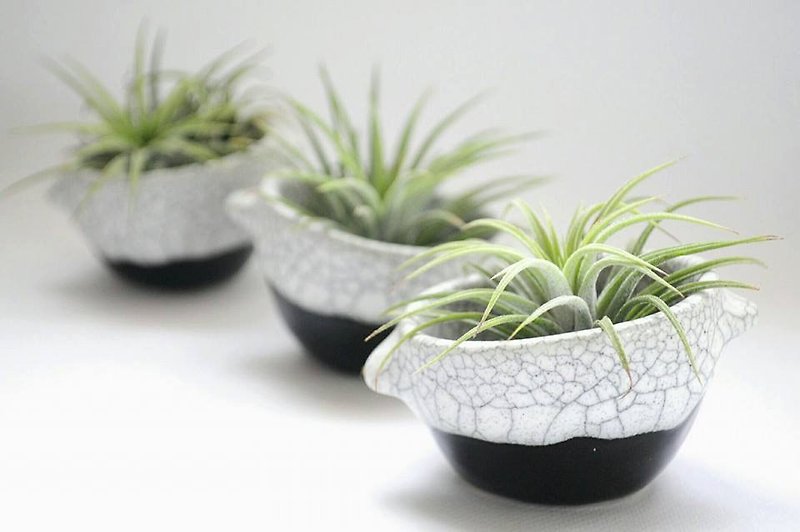 Black and white Ceramic Plant Pots, Set of three - 植栽/盆栽 - 陶 白色
