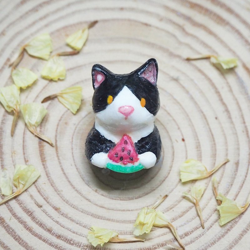 吃货小猫与西瓜手工手绘胸针 Cat &amp; watermelon handmade brooch
