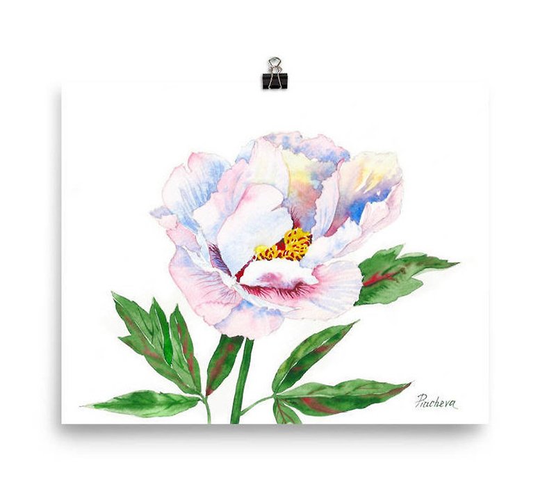 Peony. White and Pink in the Garden, Watercolor Flowers for Gift - 海报/装饰画/版画 - 纸 粉红色