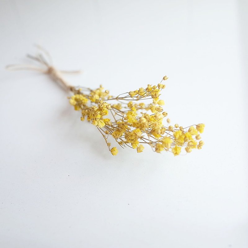 【Q-cute】干燥花小花束系列-黄满天星 - 摆饰 - 植物．花 黄色