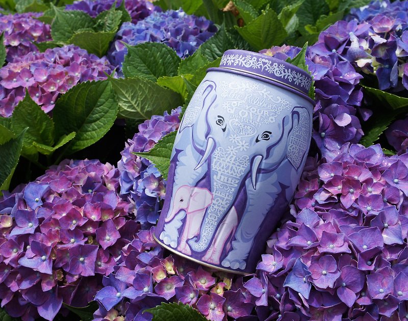 【母亲节礼物】紫爱妈咪大象茶罐(内含伯爵茶/40个热封式茶包) - 茶 - 新鲜食材 紫色