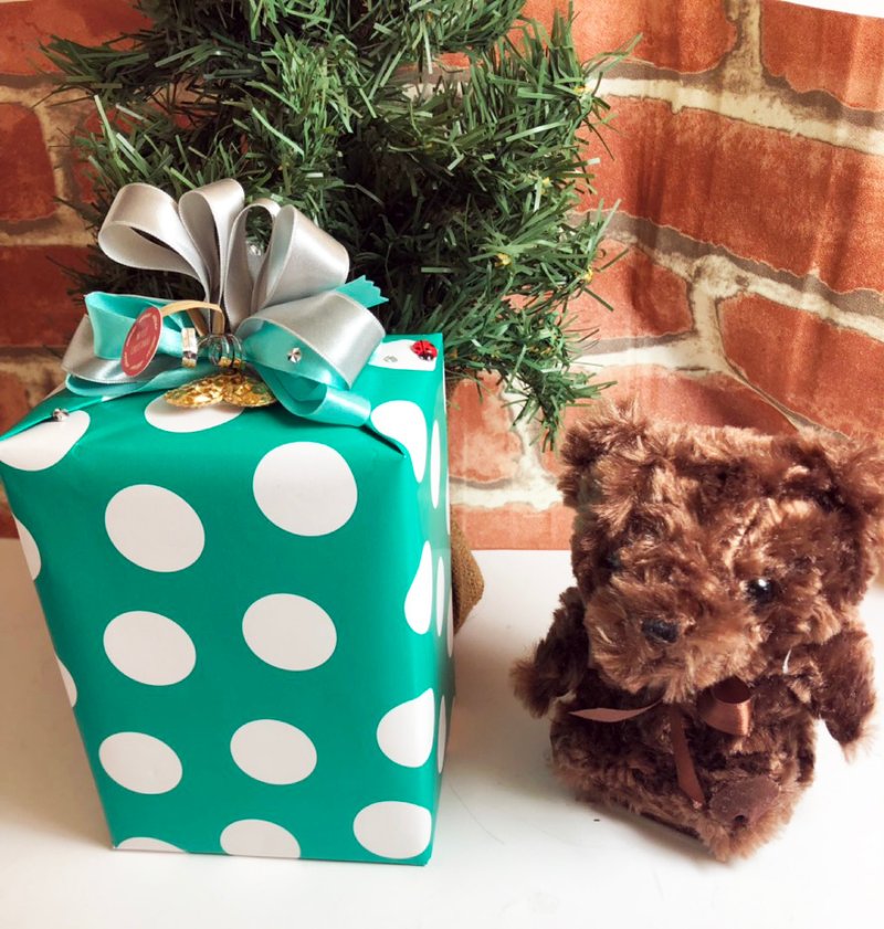 Greenon 贝尔回声熊 精致圣诞包装 - 数码小物 - 其他人造纤维 咖啡色