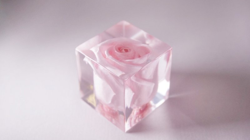 红色玫瑰－立体方形干花摆设 - 植栽/盆栽 - 压克力 粉红色