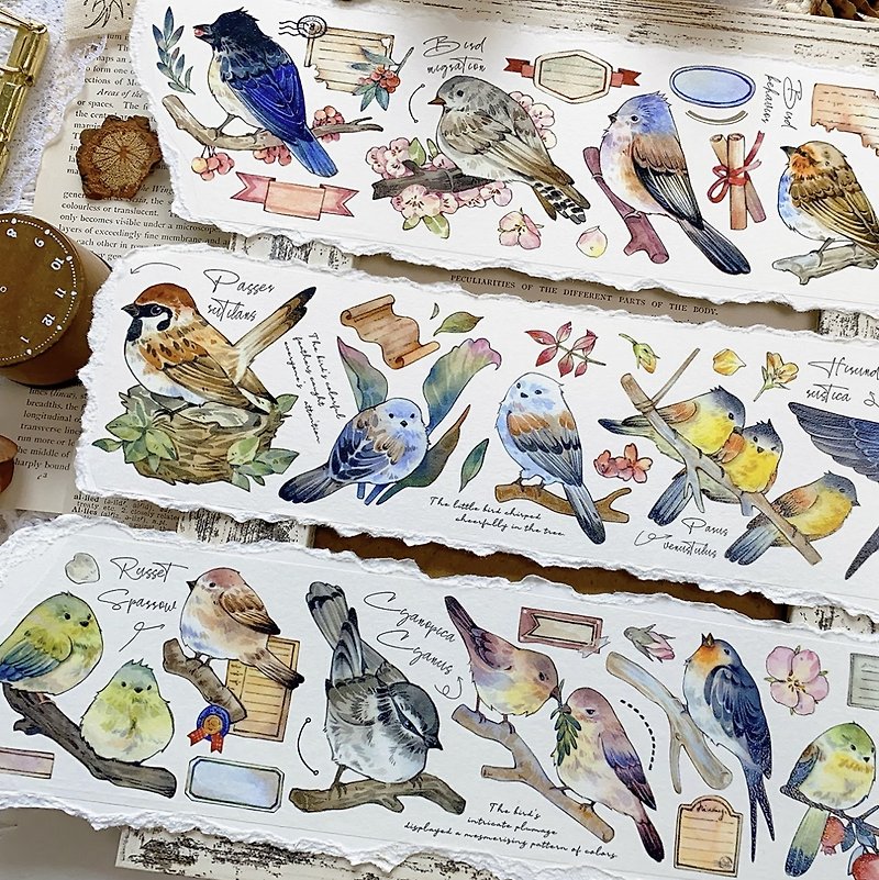 小鸟收集 復古小動物稿 PET 和紙膠帶 - 纸胶带 - 其他材质 多色