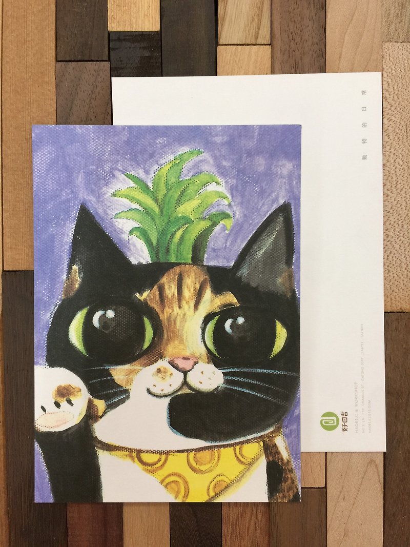 空凤猫 的简单 纯粹_动物的日常系列 - 卡片/明信片 - 纸 绿色