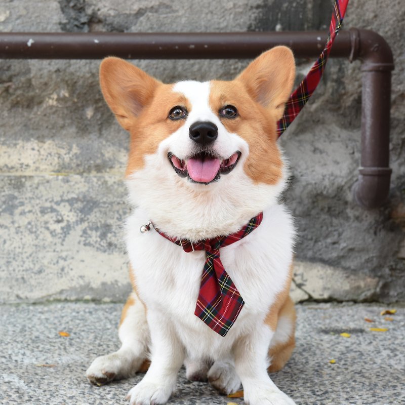 狗狗经典红宠物领带-不含项圈、牵绳【ZAZAZOO】 - 项圈/牵绳 - 棉．麻 红色