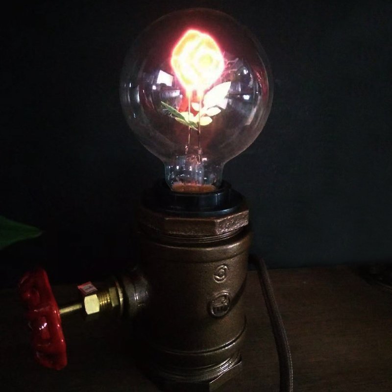 聖誕禮物玫瑰灯泡工业风创意小夜灯 礼品 - 灯具/灯饰 - 其他金属 咖啡色