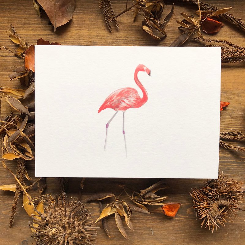 鸟鸟系列 红鹤 明信片 - 卡片/明信片 - 纸 白色