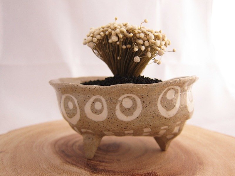 Small ceramic plant pot for cactus , handmade pottery , small pot - 植栽/盆栽 - 瓷 卡其色