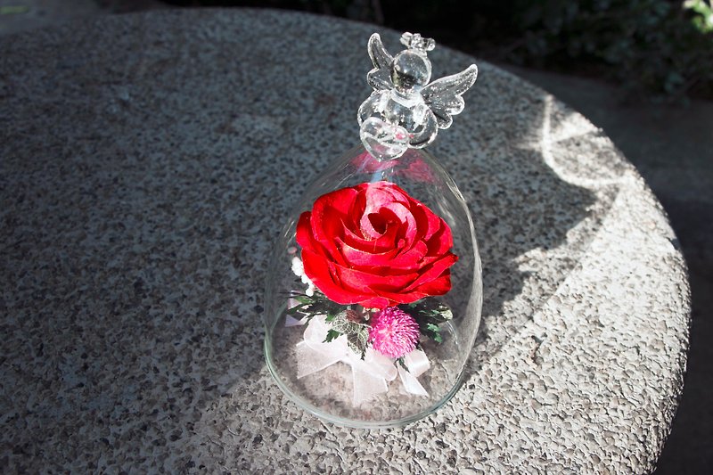 不渝保鲜花 - 天使红玫瑰 纪念日 情人节 送礼 - 干燥花/捧花 - 植物．花 红色