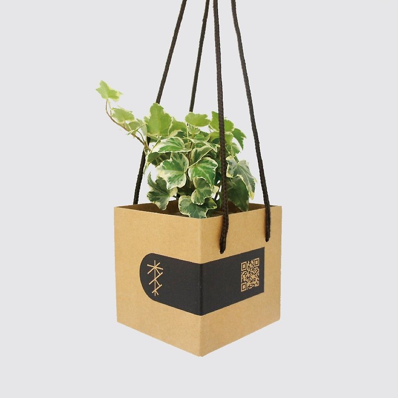 │ 加购商品│ 送礼手提礼盒 - 植物提盒 防撞礼盒 - 其他 - 纸 