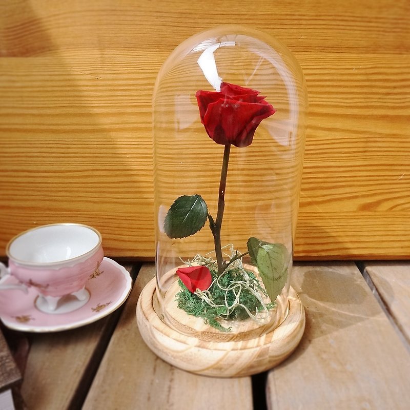 《预购》美女与野兽系列-玻璃罩永生玫瑰花 - 植栽/盆栽 - 植物．花 