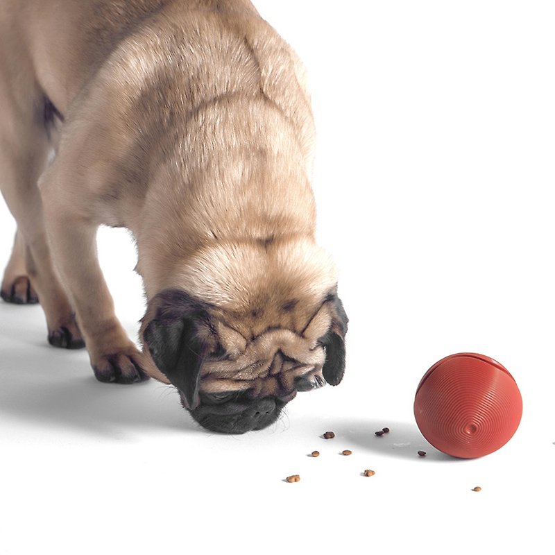 pidan狗玩具波普球狗狗漏食球中小型犬球形玩具耐磨耐咬 灰色 - 玩具 - 硅胶 灰色