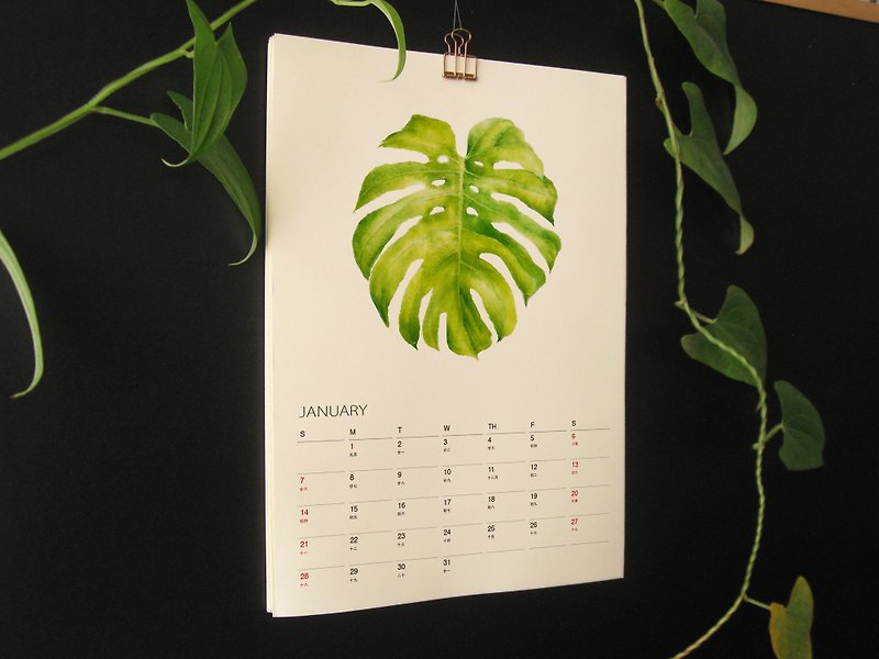 植物的静默 2024年历月历挂历 给植物爱好者的治愈新年礼物2 - 年历/台历 - 纸 绿色