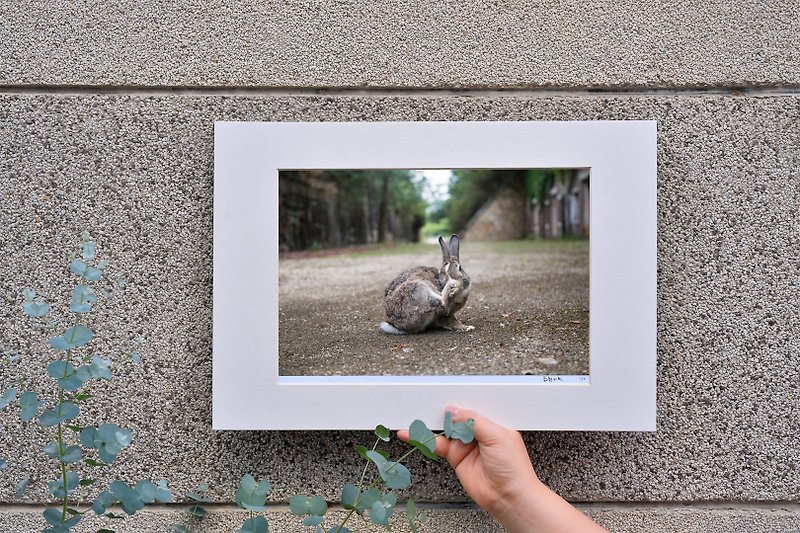限量兔子摄影艺术原作 - 俏皮 - 摆饰 - 纸 咖啡色
