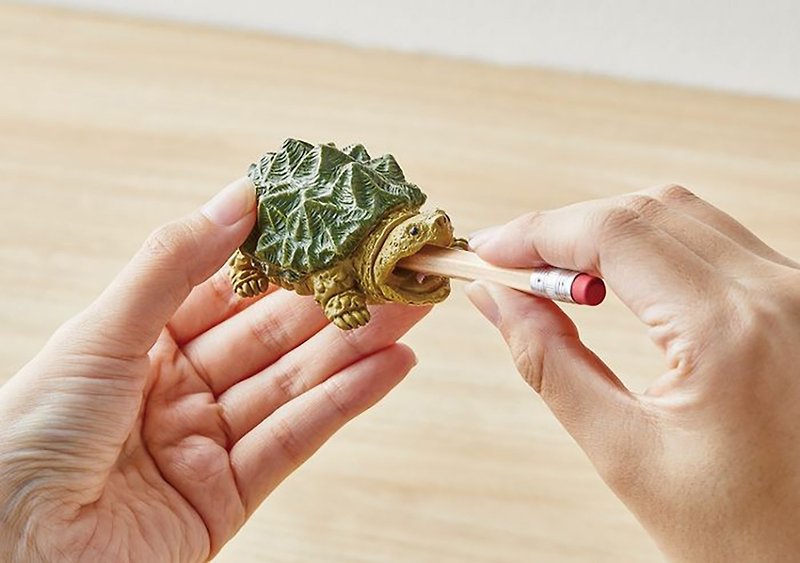日本Magnets疗愈系列 鳄龟造型削笔器/削铅笔机 - 其他 - 树脂 绿色
