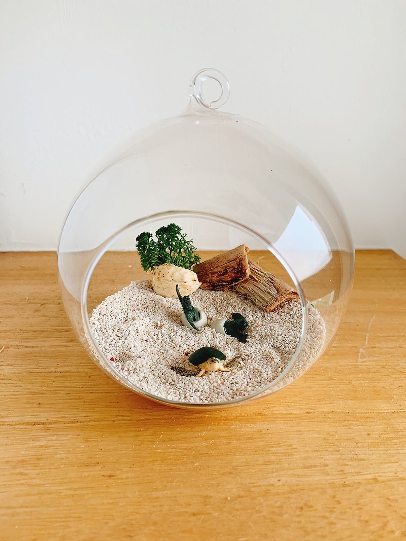 纯自然 小海龟 diy组 玻璃球 海滩 海龟孵化 送礼 小物 diy ocean - 陶艺 - 玻璃 卡其色