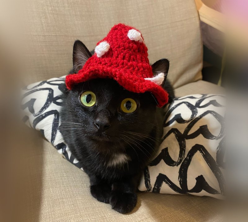 Mushroom hat cat - Crochet bucket hat -Crochet Cat Hat , Cat in the hat - 衣/帽 - 压克力 红色