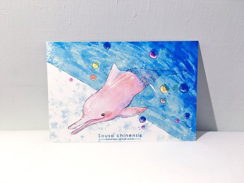 海洋与海 第二季 中华白海豚/双面明信片postcard - 卡片/明信片 - 纸 