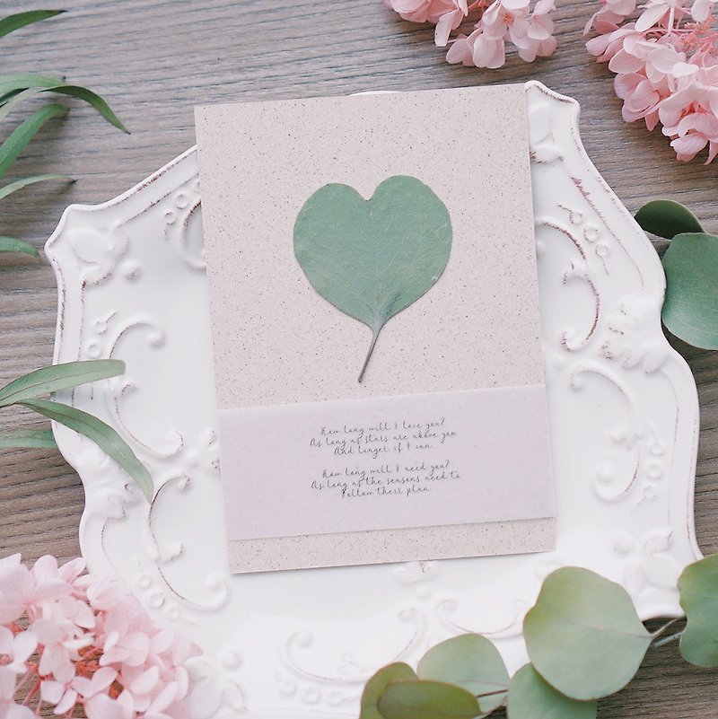 唯一。心型叶手工卡片礼盒  - 植栽/盆栽 - 植物．花 绿色