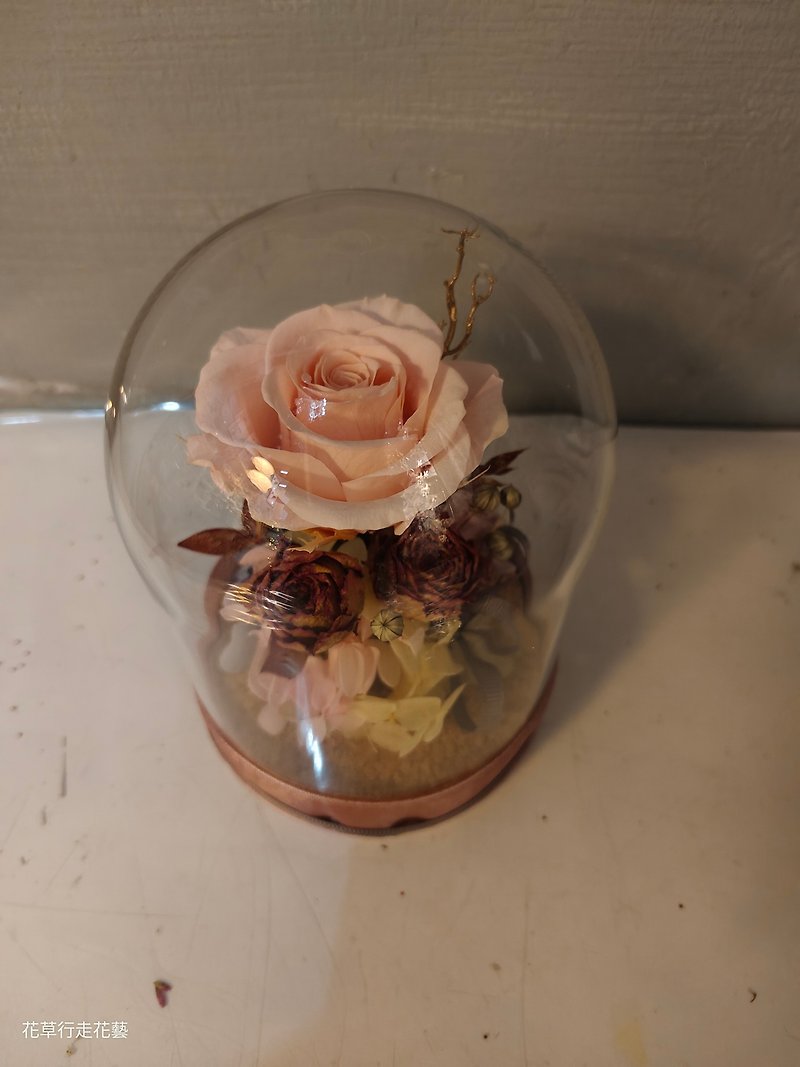 不凋玫瑰花玻璃盅 - 干燥花/捧花 - 植物．花 