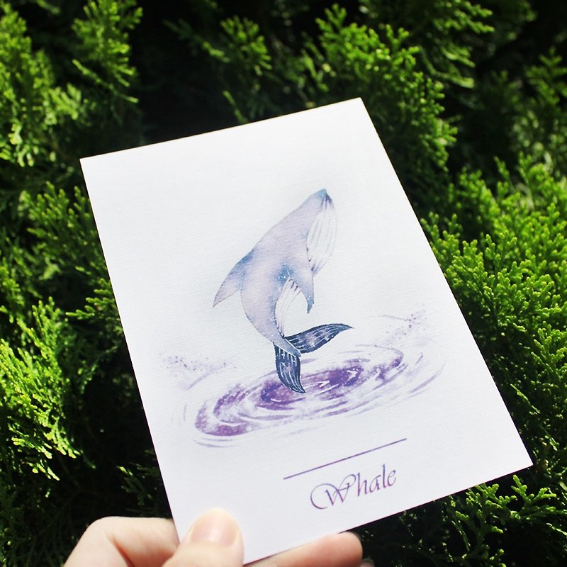 彩鲸明信片   小紫 - 卡片/明信片 - 纸 紫色