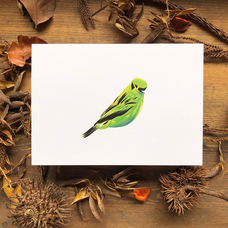 鸟鸟系列 翠绿唐加拉雀 明信片 - 卡片/明信片 - 纸 绿色