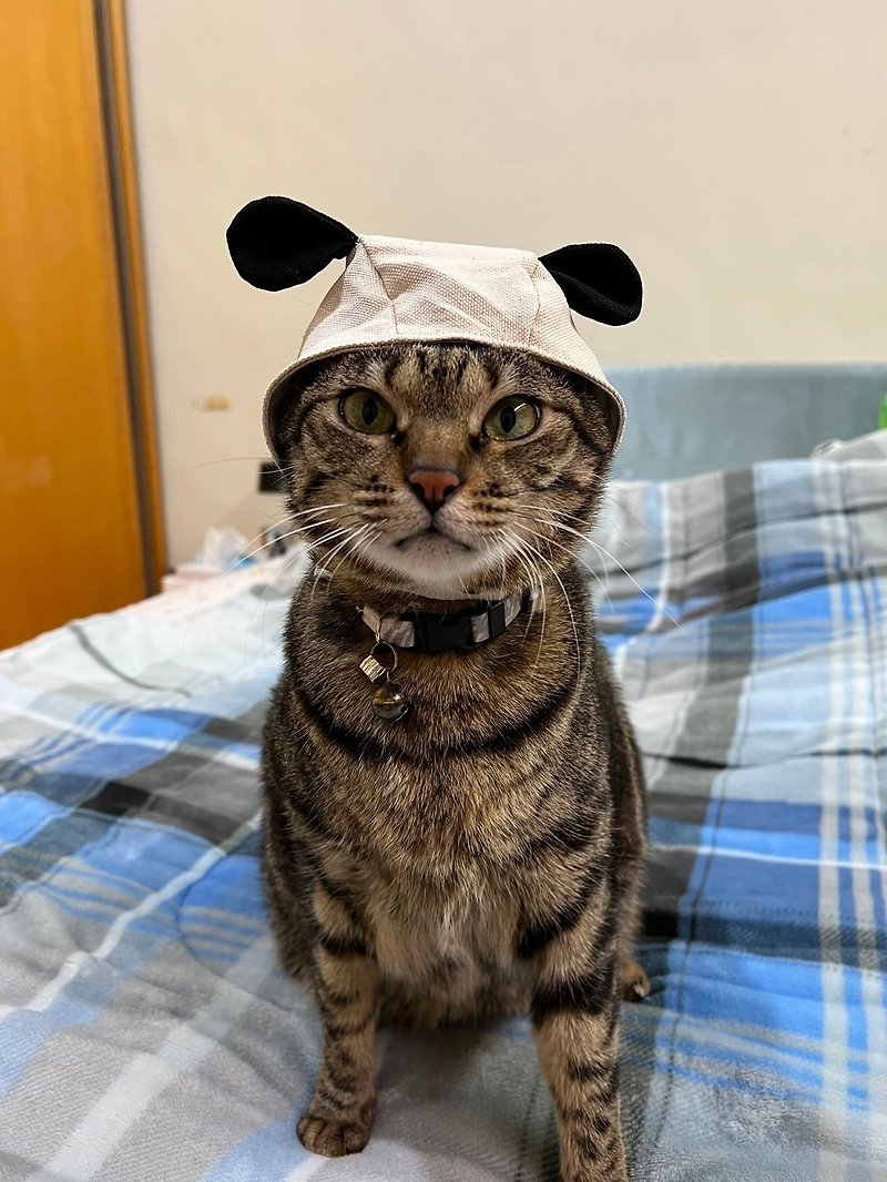 【定制化礼物】猫咪头套 猫头套 宠物头套 熊熊头套 头套 - 衣/帽 - 棉．麻 