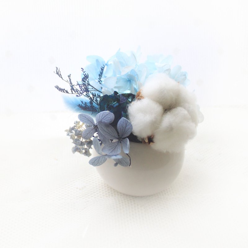 冰雪精灵迷你桌花・蓝玫瑰、白棉干燥花礼 - 花瓶/陶器 - 植物．花 蓝色