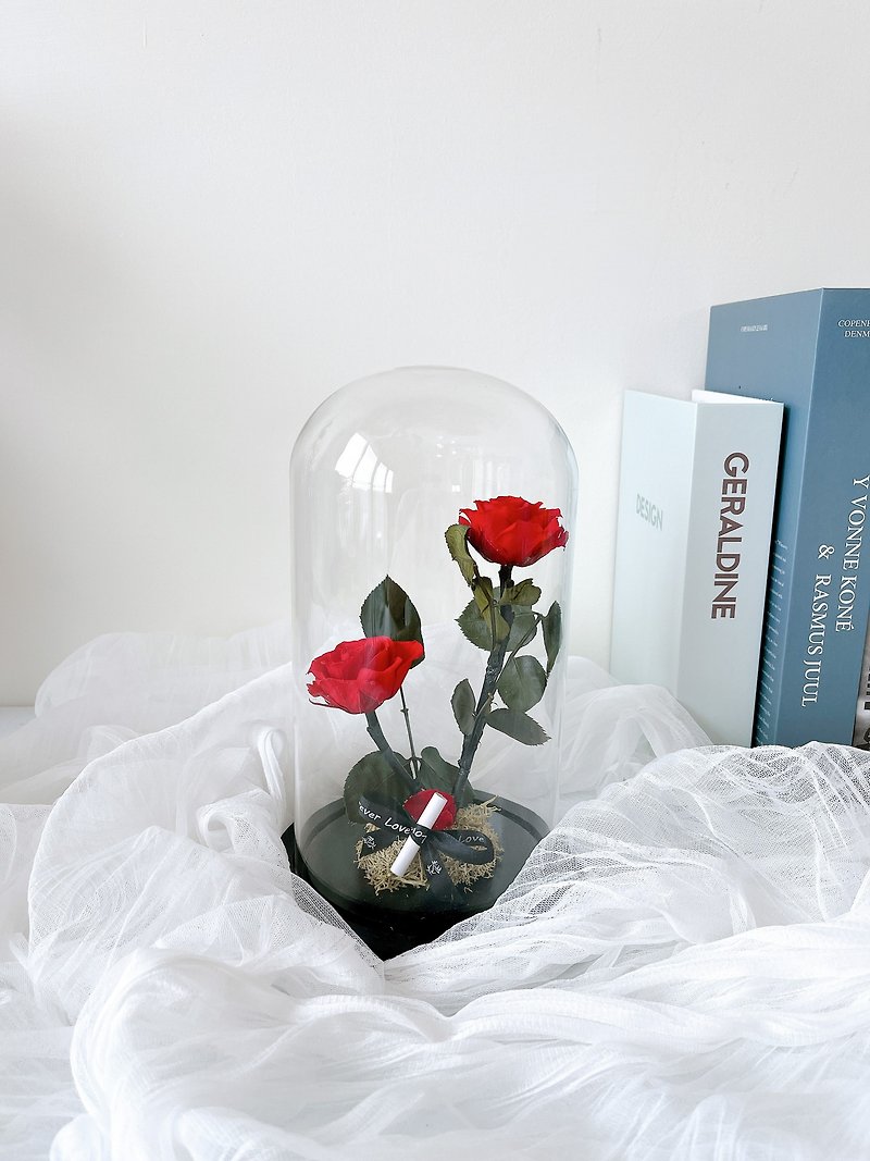 美女与野兽玻璃罩盅 玫瑰花 - 干燥花/捧花 - 植物．花 