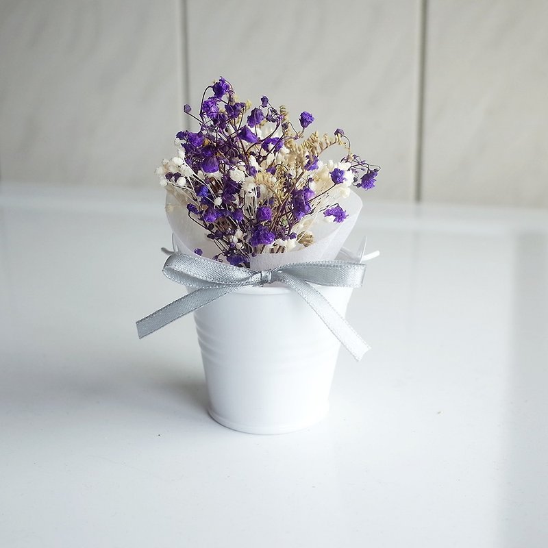 【Q-cute】干燥花小盆花系列-紫满天星 - 植栽/盆栽 - 植物．花 紫色