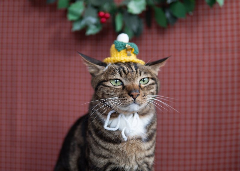 【圣诞限定系列】宠物帽子 猫咪/狗狗 小铃铛帽 - 绿 - 项圈/牵绳 - 其他材质 绿色