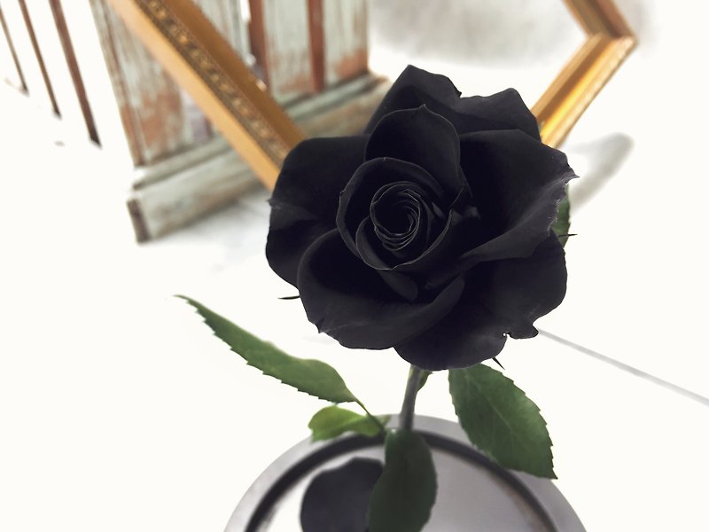 玫瑰 母亲节 情人节 永生不凋花 神秘的爱-黑 M印象FloralDesign - 摆饰 - 植物．花 黑色
