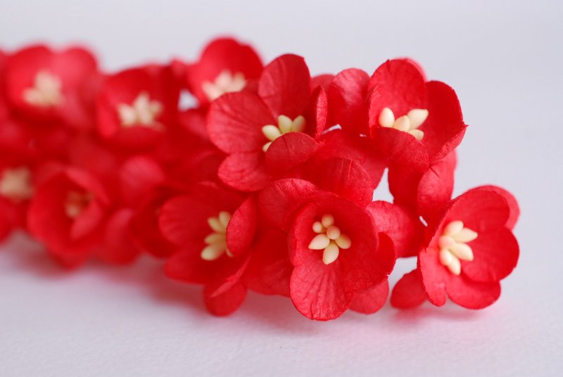 Paper flower, 50 pieces, size 2.5 cm. Cherry blossom, Sakura, red color. - 木工/竹艺/纸艺 - 纸 红色