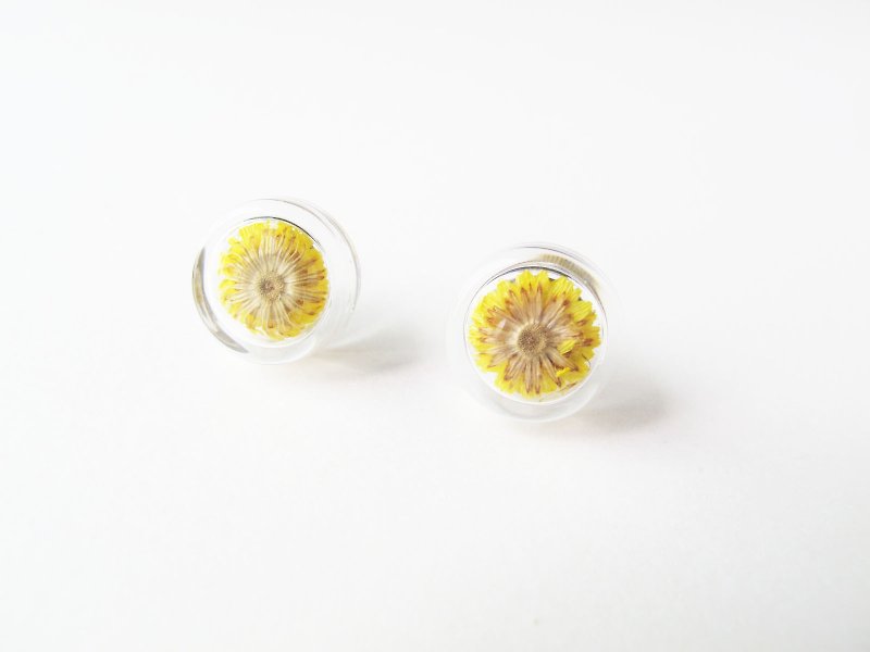 ＊Rosy Garden＊黄色小香青干燥花圆形玻璃耳环 可换夹式 - 耳环/耳夹 - 玻璃 黄色