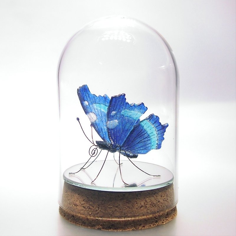 ガラスの蝶 ルリタテハ in ドーム - 摆饰 - 玻璃 蓝色