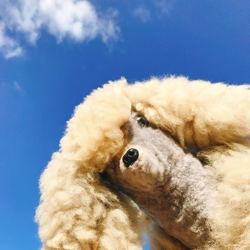 澳洲进口手工纯羊毛灰褐色贵宾狗 | 玩偶 摆饰 老件 稀有 - 摆饰 - 羊毛 灰色