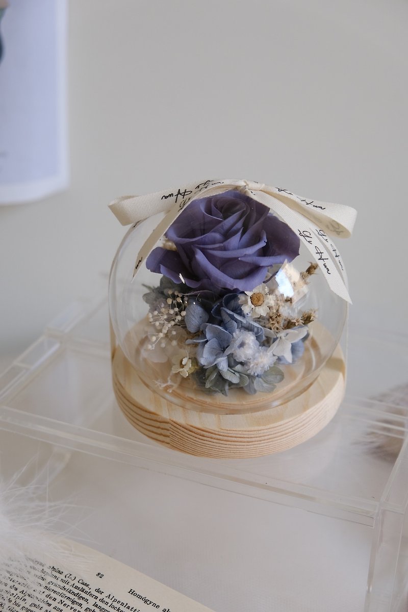 北欧蓝-永生花玻璃花球 - 干燥花/捧花 - 植物．花 蓝色