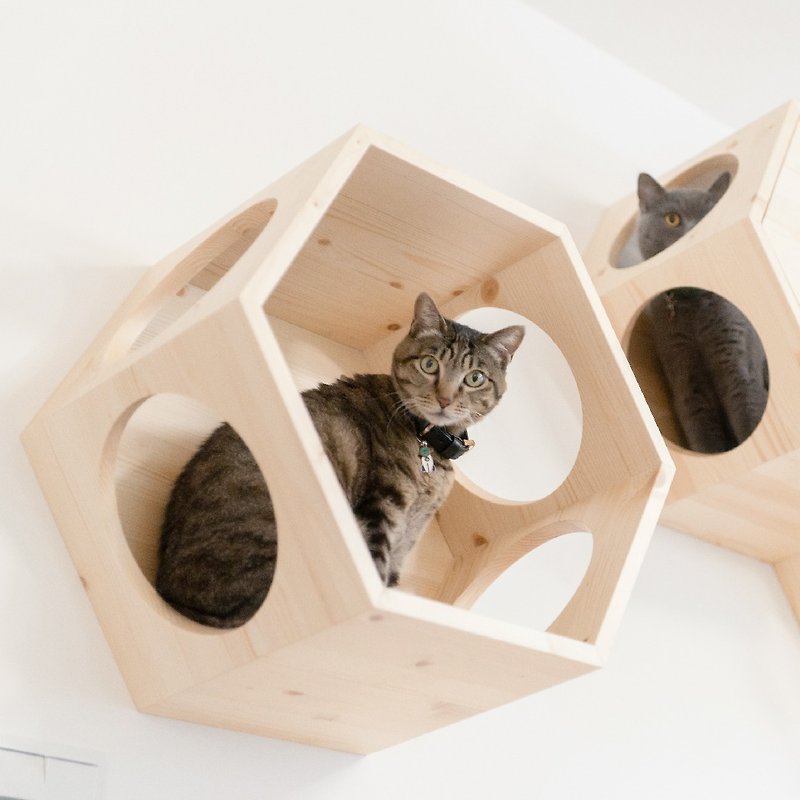 【MYZOO动物缘】六角猫跳台Busycat (单个贩售) - 玩具 - 木头 咖啡色