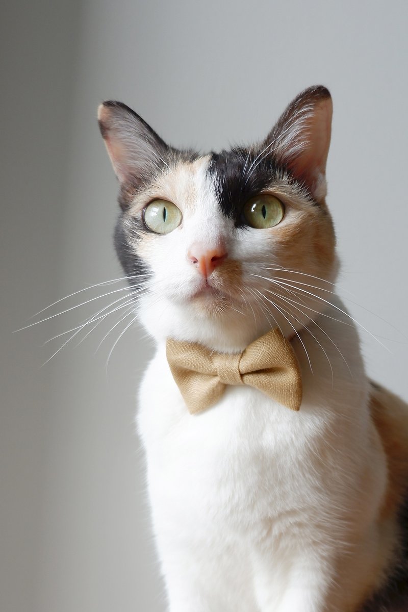 Earthy Breakaway Cat Collar : Wheat color - 项圈/牵绳 - 棉．麻 卡其色