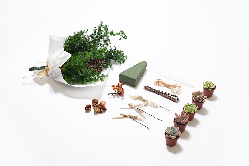 圣诞礼物 | 森林之欢 DIY材料组 - 植栽/盆栽 - 植物．花 