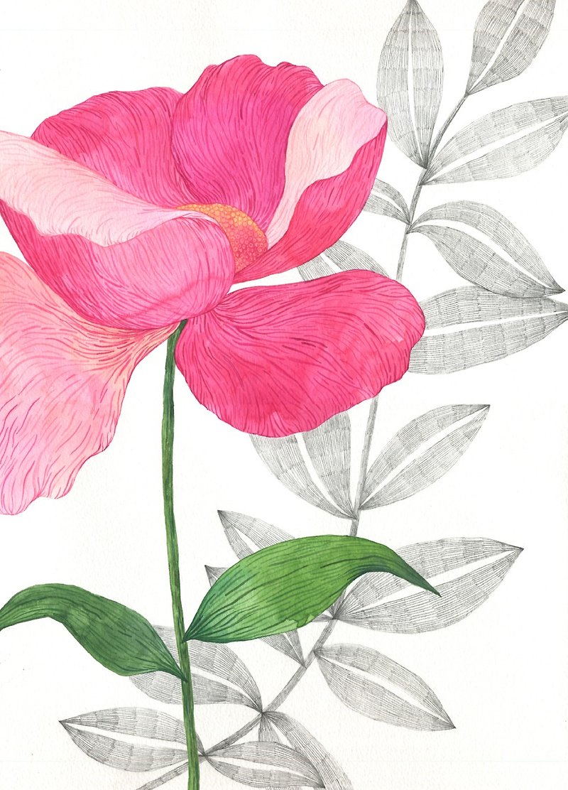 原创水彩画 现代绘画 牡丹艺术 40x30cm - 插画/绘画/写字 - 纸 粉红色