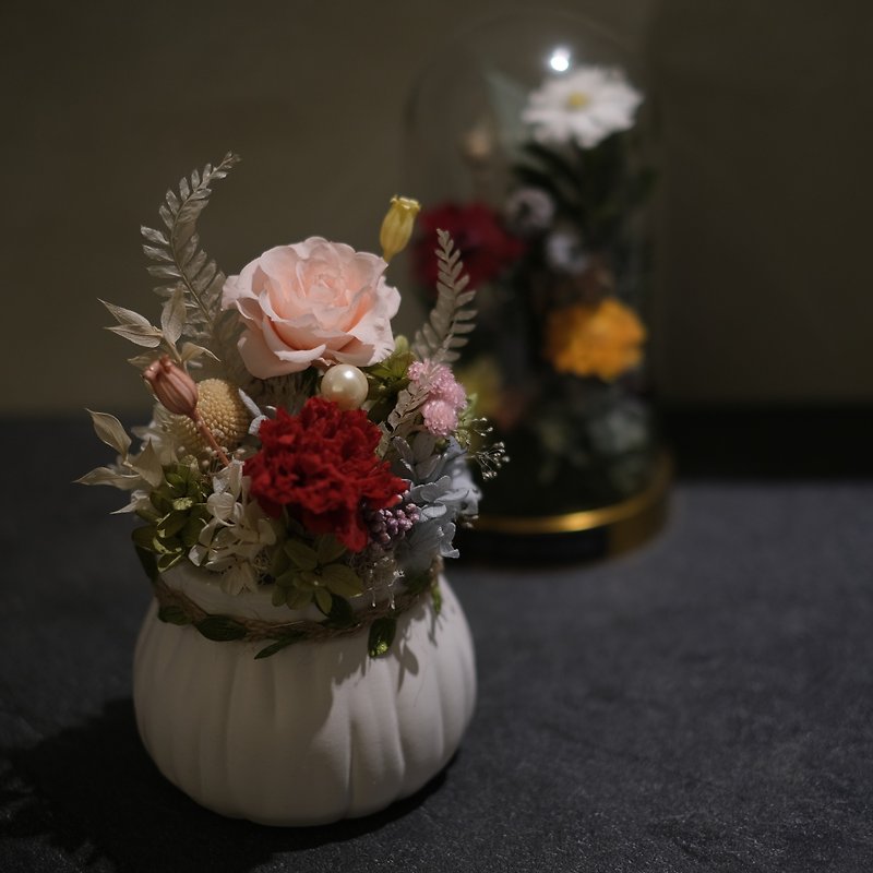 【母亲节永生盆花】  日本进口永生花 - 干燥花/捧花 - 植物．花 