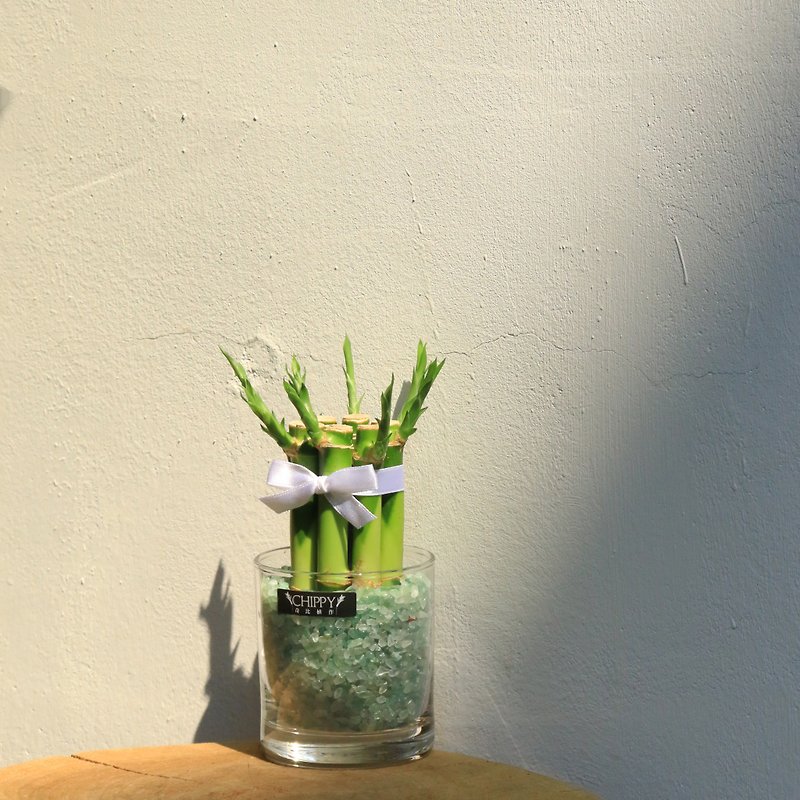 【好运系列】桌上开运竹－事业丰收绿水晶 - 植栽/盆栽 - 植物．花 