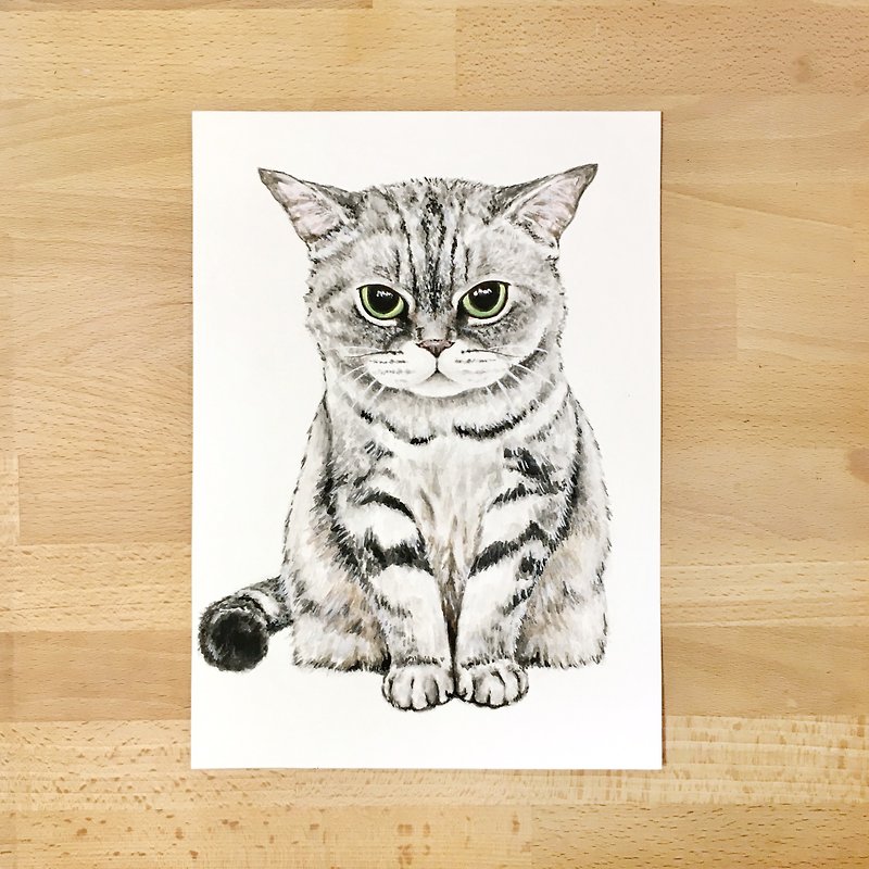 定制插画-宠物肖像水彩画 附赠制作电子壁纸(单只) - 订制画像 - 纸 多色