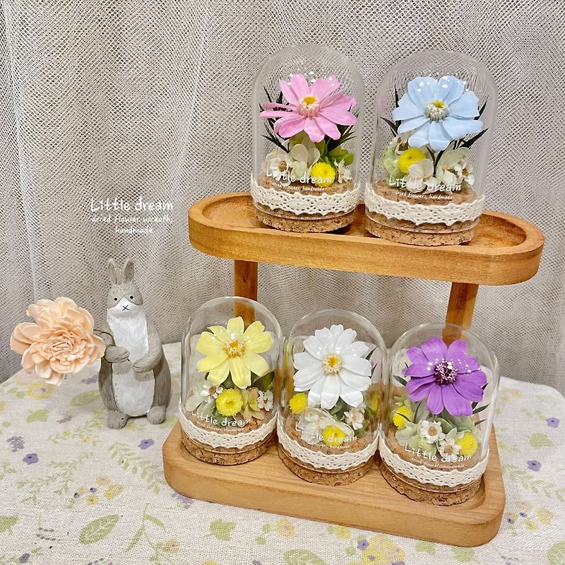 | 小梦境花艺 | 永生花 小百日草 玻璃器皿 许愿瓶 日本大地农园 - 干燥花/捧花 - 植物．花 白色