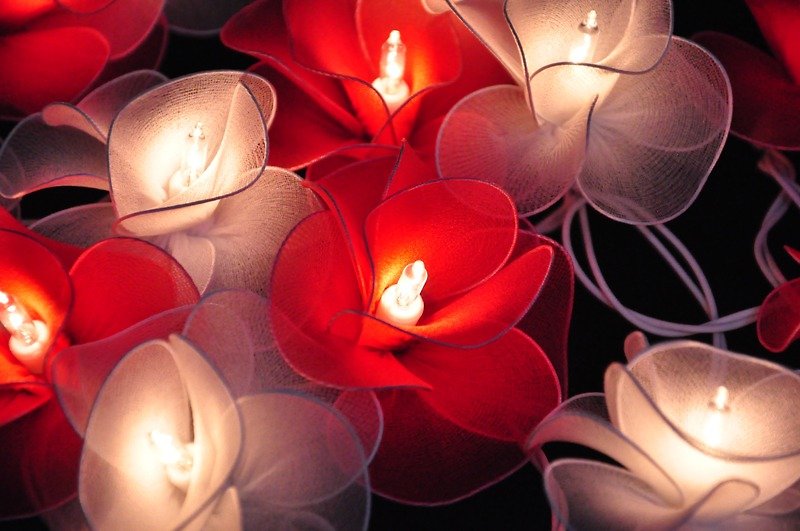 20 White & Red Flower String Lights for Home Decoration,Wedding,Party,Bedroom,Patio and Decoration - 灯具/灯饰 - 纸 