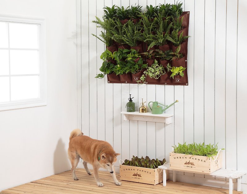 壁挂式绿墙/室内植物美化墙 - 植栽/盆栽 - 聚酯纤维 黑色